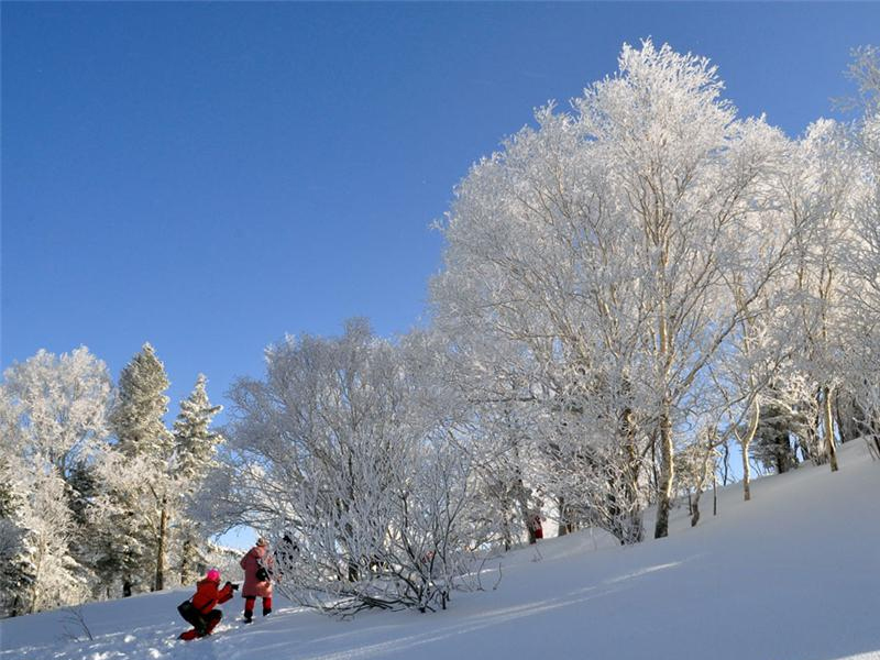 哈尔滨+冰雪大世界+虎峰岭雾凇+亚布力+雪乡双卧7日跟团游